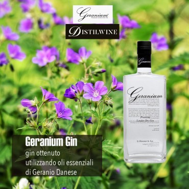 Gin Geranium 70 cl freeshipping - EMME Trends